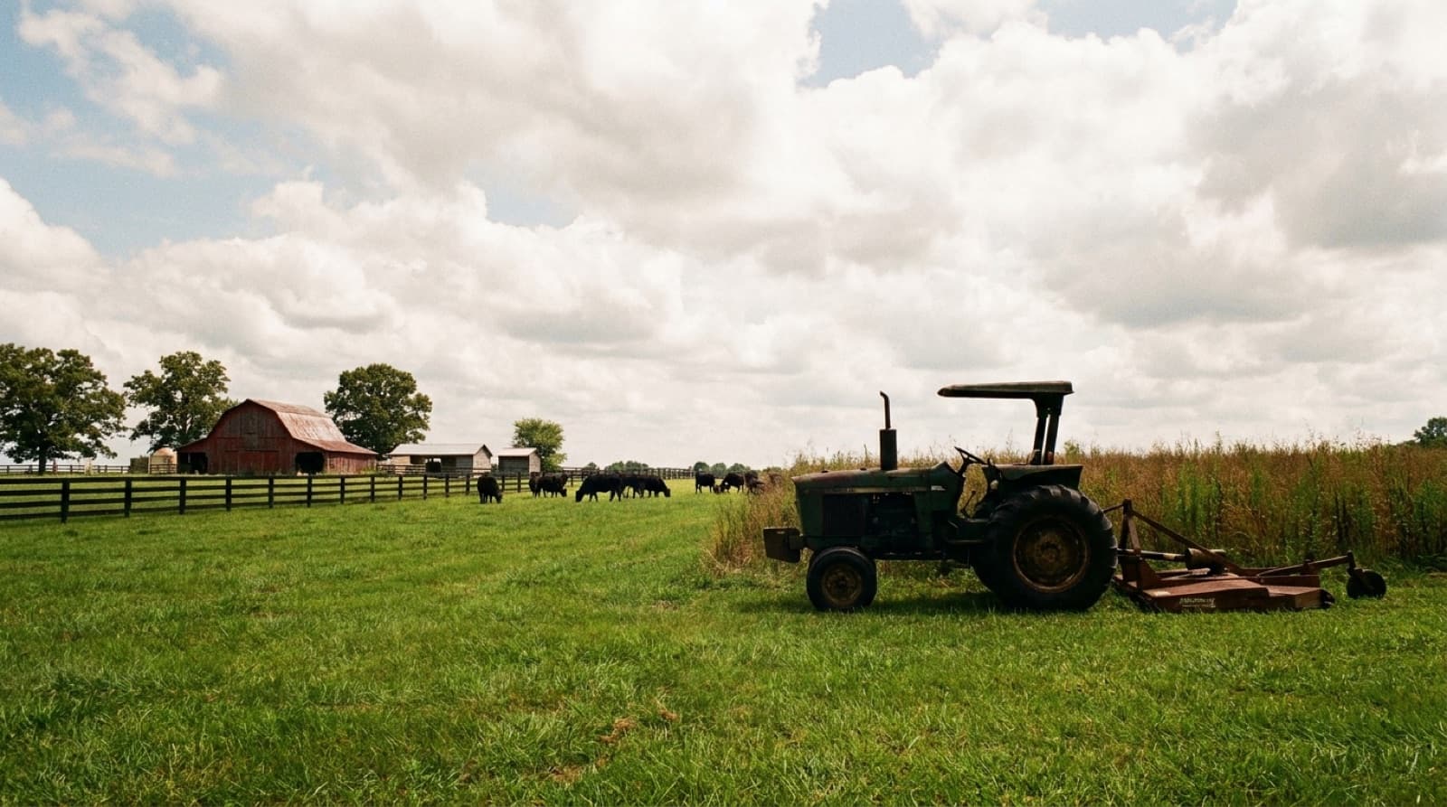 Reclaimed North Alabama pasture with cedar and brush mulched and fence line cleared